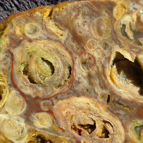 Small cutting of Orbicular Rhyolite - Picture 7 of 10